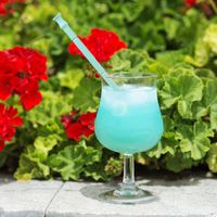 Silicone Straw Collapsible Reusable, Folding Drinking Straws Keychain Foldable Final Premium Food-Grade Portable Set with Hard Case Holder Cleaning Brush for Travel, Household (Green)