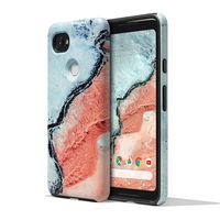 Google Earth Live Case for Pixel 2 XL - River