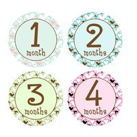 Baby Monthly Stickers for Onesies Hearts 1-12 Months Milestone Stickers Newborn Girl Stickers Infant Photo Prop Baby Shower Gift Bonus Sheet Included