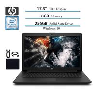 HP 17.3-inch HD+ WLED-Backlit Premium Business Laptop, Intel 8th Gen Quad-Core i5-8265U up to 3.9GHz, 8GB DDR4, 256GB PCI-e SSD, DVD, HDMI, WiFi, Bluetooth, Webcam, Windows 10 / Accessories Bundle
