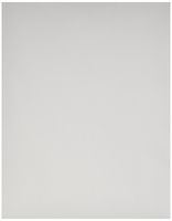 Pentax Letter Size Paper, 100 sheets (PTX 201960)