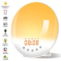 Wake Up Light, Nature Sunrise Simulation Alarm Clock, Recording Function, Snooze Function, 6 Colors Atmosphere Lamp, 9 Nature Sounds and FM Radio Clock for Kids Adults Bedrooms