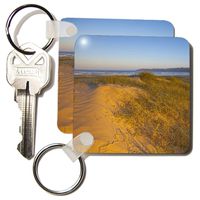 3dRose Sunrise, grasses at Pismo Beach, California - US05 CHA0075 - Chuck Haney - Key Chains, 2.25 x 4.5 inches, set of 4 (kc_88303_2)