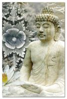 Tree-Free Greetings ECOnotes Notecard Set, 4 x 6 Inches, 12-Count Notecards with Envelopes, Winter Peace (66636)