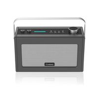 Internet Radio, Smart WiFi Speaker with Alexa, Bluetooth, Smart Home Control, Multi-Room, News and Sport Updates (Charcoal)