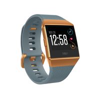 Fitbit Ionic GPS Smart Watch, Slate Blue/Burnt Orange, One Size (S & L Bands Included)