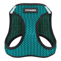Voyager Step-in Air Dog Harness - All Weather Mesh, Step in Vest Harness for Small and Medium Dogs by Best Pet Supplies - Turquoise, Medium (Chest: 16" - 18")