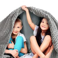 Quility Premium Kids Weighted Blanket & Removable Cover | 10 lbs | 41"x60" | for a Child Between 90-120 lbs | Single Size Bed | Premium Glass Beads | Cotton/Minky | Grey/Grey