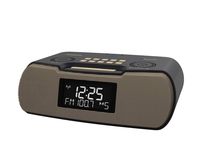 Sangean RCR-20 FM-RDS (RBDS) AM/Bluetooth/Aux-in/USB Phone Charging Digital Tuning Clock Radio with Battery Backup (Gray/Gold)