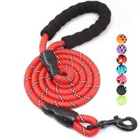 BAAPET 5 FT Strong Dog Leash with Comfortable Padded Handle and Highly Reflective Threads for Medium and Large Dogs (Red)