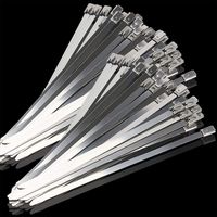 Kingrol 200pcs Stainless Steel Self-Locking Cable Zip Ties, 11.8 Inch