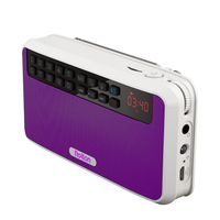 Rolton E500 Portable Stereo Bluetooth Speakers FM Radio Clear Bass Dual Track Speaker TF Card USB Music Player (Purple)