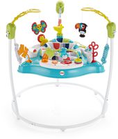 Fisher-Price Color Climbers Jumperoo