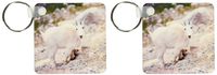 3dRose Alberta, Banff NP, Rocky Mountain goat-CN01 RER0051 - Ric Ergenbright - Key Chains, 2.25 x 4.5 inches, set of 2 (kc_76167_1)