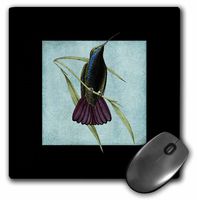 3dRose LLC 8 x 8 x 0.25 Inches Mouse Pad, Vintage Hummingbird with Lace- Animals- Birds (mp_79085_1)