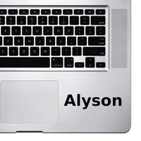 (2X) StickAny Palm Series Alyson Sticker for MacBook Pro, Chromebook, and Laptops (Black)