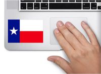 State flag of Texas 4x2.5 inches color sticker state decal die cut vinyl - Made and Shipped in USA