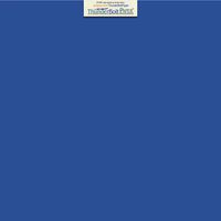 50 Bright Royal Blue Color 65# Cover/Card Paper Sheets 12 X 12 Inches Scrapbook Album Cover Size - 65 lb/pound Light Weight Cardstock - Quality Smooth Paper Surface