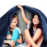 Quility Premium Kids Weighted Blanket & Removable Cover | 10 lbs | 41"x60" | for a Child Between 90-120 lbs | Single Size Bed | Premium Glass Beads | Cotton/Minky | Grey/Navy Blue