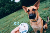 Flea and Tick prevention for Dogs- 2 Collars Organic Essential Oil Flea Collar for Dogs,Dog Flea and Tick Control for Hypoallergenic&Water Resistant