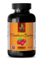 Cardiovascular Equipment - Hawthorn Berry 665MG - Hawthorn Berry Tea - 1 Bottle (120 Capsules)