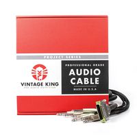 Vintage King Project DB25 - TRS - 10'