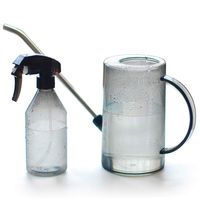 Watering Can Indoor, Small Watering Cans for House Plants, Succulents and Flowers, Long Spout, 1 Liter, with Bonus Plant Mister Spray Bottle