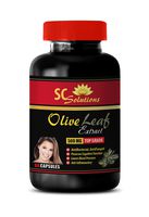 Digestion Supplements - Olive Leaf Extract - Olive Leaf Extract Capsules - 1 Bottle 60 Capsules