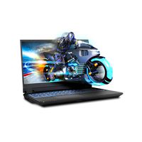 Sager NP8451 15.6 Inches Thin Bezel 4K OLED Gaming Laptop, Intel Core i7-9750H, NVIDIA GTX 1660Ti 6GB DDR6, 32GB RAM, 1TB NVMe SSD + 2TB FireCuda SSHD, Windows 10 Home