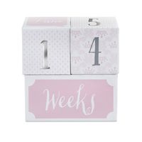 Baby Aspen My First Milestone Princess Age Blocks | Baby Picture Props for Photo Sharing The First Year