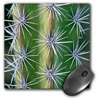3D Rose"USA Ca Pasadena The Huntington Botanical Garden Octopus Cactus." Matte Finish Mouse Pad - 8 x 8" - mp_208728_1