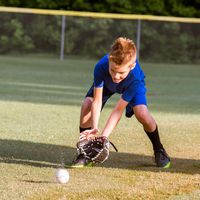 Sof Sole RBI Baseball Over-the-Calf Team Athletic Performance Socks for Men and Youth (2 Pairs), Child 9-Youth 1, Purple