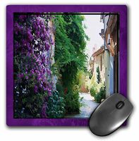 3dRose LLC 8 x 8 x 0.25 Inches Provence Alley Mouse Pad (mp_18358_1)