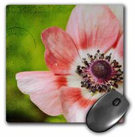 3dRose LLC 8 x 8 x 0.25 Inches Mouse Pad, Pretty Pink Anemone, Flower Photography (mp_155756_1)