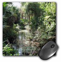 3dRose LLC 8 x 8 x 0.25 Inches Mouse Pad, Ocala National Forest Juniper Springs (mp_60244_1)