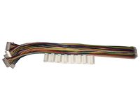 LATTECH 8 PCS 7 PIN JST XH Female Connector on One Side with Electric Wire 1007 26 AWG（Total Length:300MM） & JST XH 7 PIN Male Connector 8 PCS