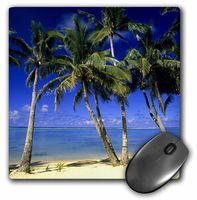 3dRose LLC 8 x 8 x 0.25 Palm Lined Beach Cook Islands South Pacific Michael DeFreitas Mouse Pad (mp_85171_1)