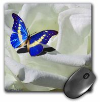 3dRose LLC 8 x 8 x 0.25 Inches White Rose and Blue Butterfly Mouse Pad (mp_56847_1)