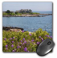 3dRose Home of President Bush, Kennebunkport Maine - US20 BBA0052 Mouse Pad, 8" x 8" (mp_90541_1)