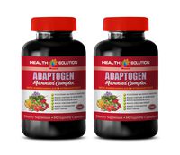 Mood Vitamins for Women - ADAPTOGEN Advanced Complex - holy Basil Leaf Capsules - 2 Bottles 120 Vegetable Capsules