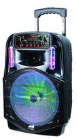 NAXA Electronics NDS-1214 12-Inch Portable Bluetooth Party Speaker with LED Lights, Black