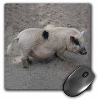3dRose LLC 8 x 8 x 0.25 Inches Pig Mouse Pad (mp_4326_1)