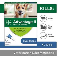 Flea and Lice Treatment for Dogs, Over 55 lb, 6 doses, Advantage II