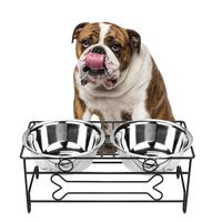 VIVIKO Bone Style Pet Feeder for Dog Cat, Stainless Steel Food and Water Bowls with Iron Stand (Large)