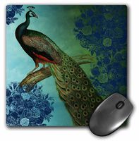 3dRose LLC 8 x 8 x 0.25 Inches Mouse Pad, Peacock with Vintage Blue Roses (mp_152138_1)