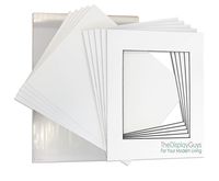 THE DISPLAY GUYS Professional 16x20 Pack of 25 Deluxe White w/Black Core Picture Photo Matting Mat Boards + Backing Boards + Clear Plastic Bags Complete Set