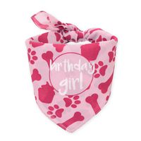 hecho Dog Birthday Bandana - Girl