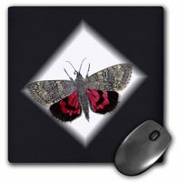 3dRose LLC 8 x 8 x 0.25 Inches Mouse Pad, Red/Gray Butterfly on Black/White (mp_41649_1)