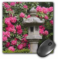 3dRose LLC 8 x 8 x 0.25 Inches Mouse Pad, Seattle, Washington Arboretum, Japanese Garden - Jamie and Judy Wild (mp_95882_1)