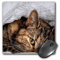 3dRose LLC 8 X 8 X 0.25 Inches Peeking Cat Mouse Pad (mp_23461_1)